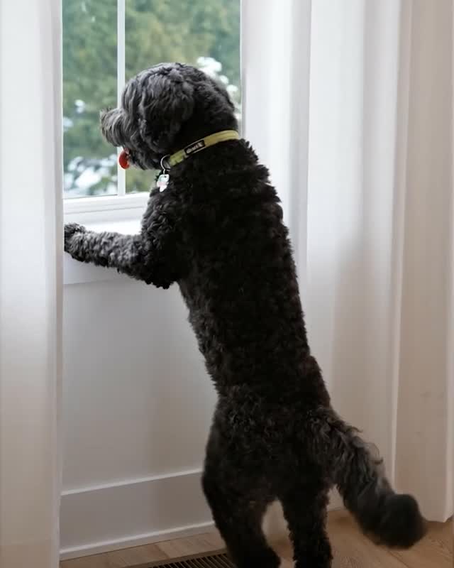 Toll Brothers Instagram post 3