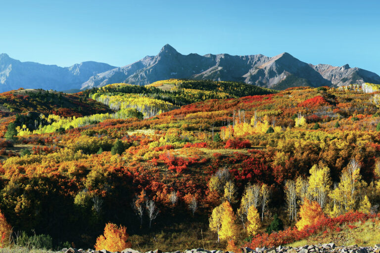 5 Reasons to Make the Move to Colorful Colorado | Build Beautiful