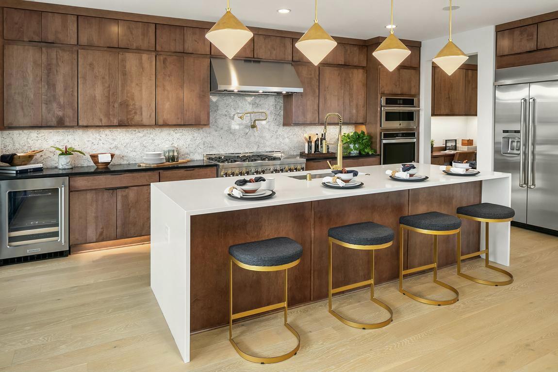 Contemporary Kitchen Collection