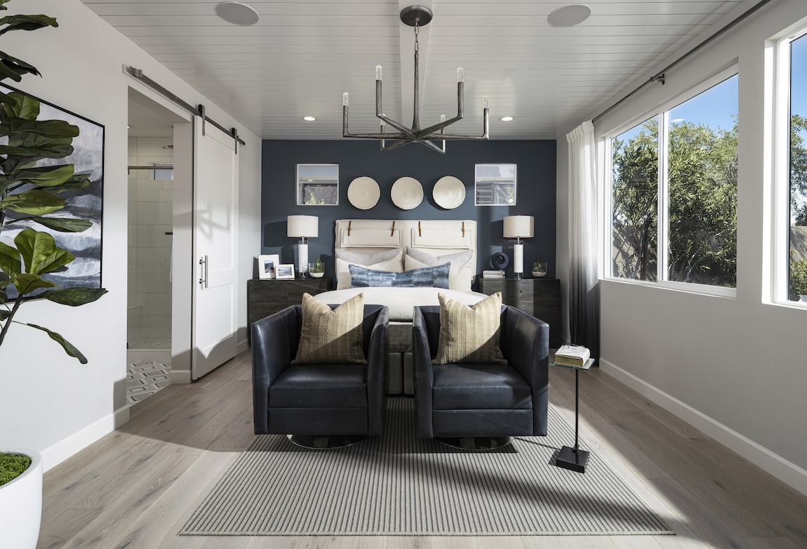 Transitional bedroom design